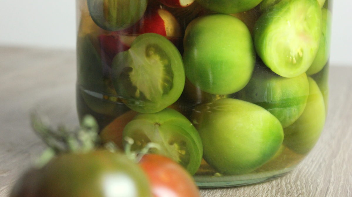 Gogonele | Roșii murate- grüne, rumänische eingelegte Tomaten - Nia Latea