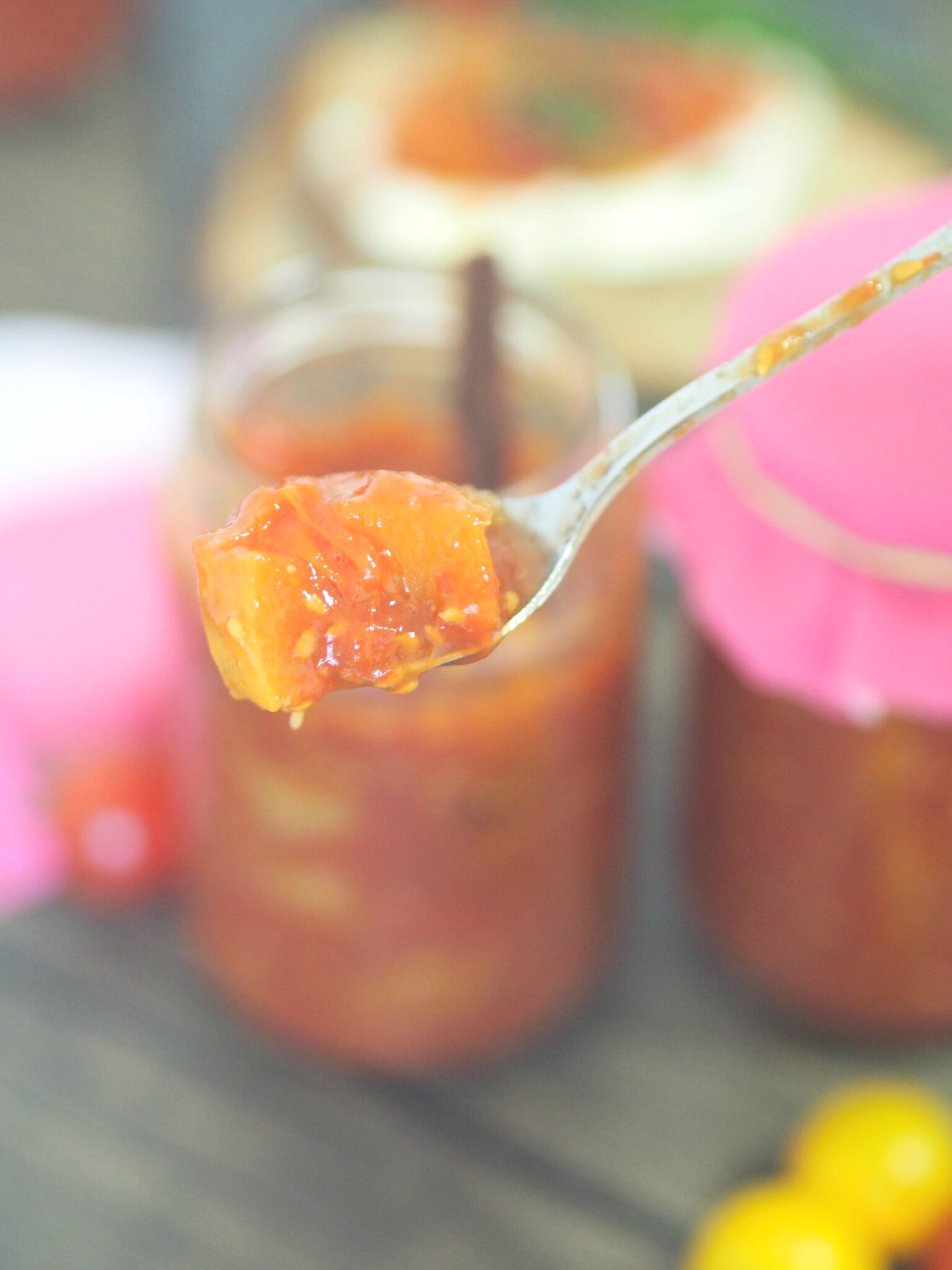 Tomaten-Apfel-Chutney I viele Tomaten einkochen I auf Vorrat - Nia Latea