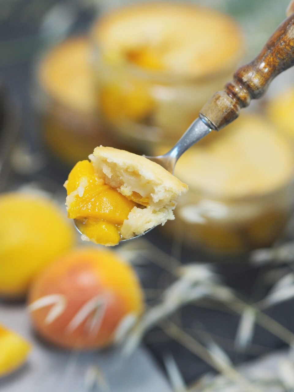 köstliche überbackene Marillen/ Aprikosen I einfaches Dessert
