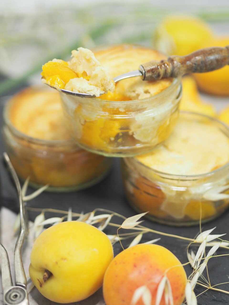 köstliche überbackene Marillen/ Aprikosen I einfaches Dessert